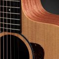 Taylor 14ce