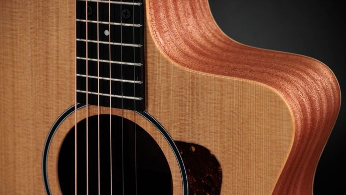 Taylor 14ce