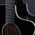 Taylor 214ce-BLK Plus