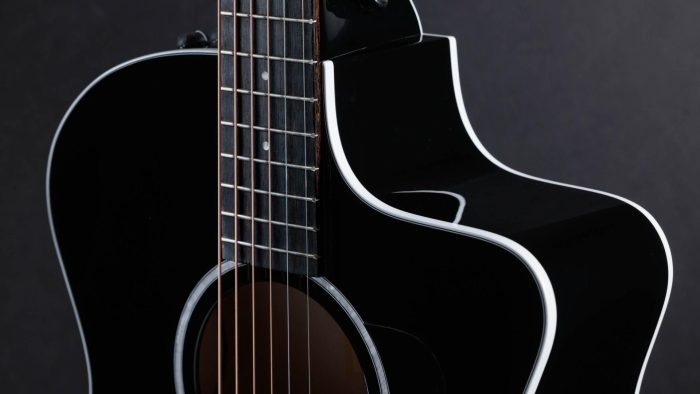 Taylor 214ce-BLK Plus