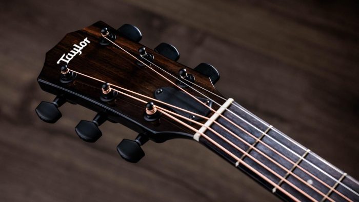 Taylor 214ce-BLK Plus