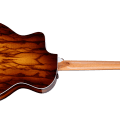 Taylor 214ce Plus Special Edition,Afr.Ziricote,SEB