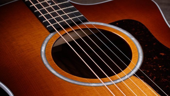 Taylor 214ce Plus Special Edition,Afr.Ziricote,SEB