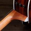 Taylor 214ce Plus Special Edition,Afr.Ziricote,SEB