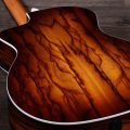 Taylor 214ce Plus Special Edition,Afr.Ziricote,SEB