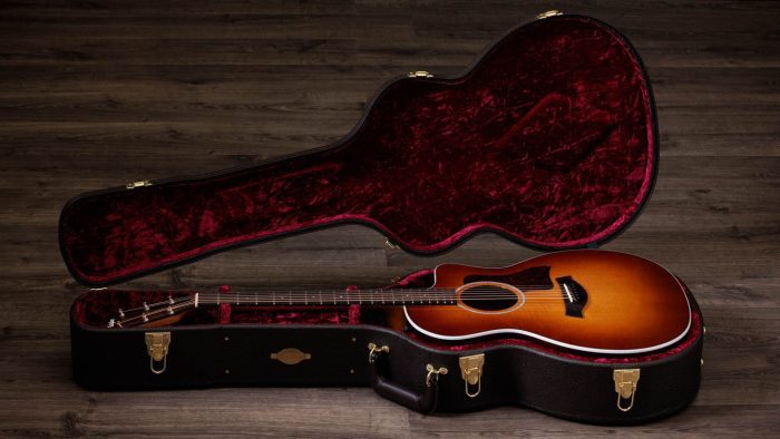 Taylor 214ce Plus Special Edition,Afr.Ziricote,SEB
