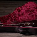 Taylor 217e-BLK Plus