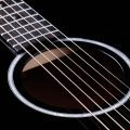 Taylor 217e-BLK Plus