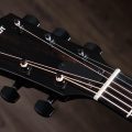 Taylor 217e-BLK Plus