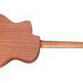 Taylor 24ce
