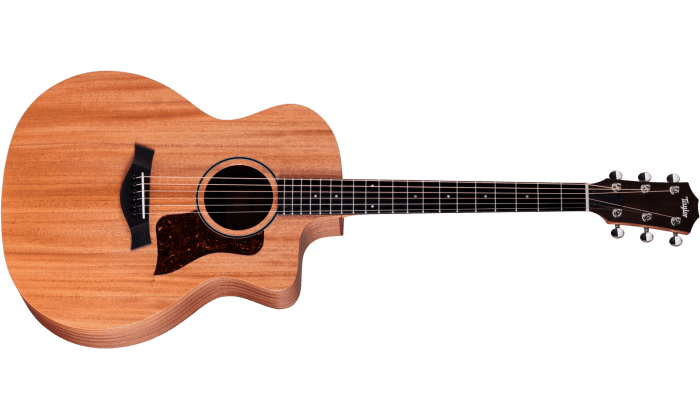 Taylor 24ce