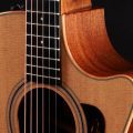 Taylor 314ce Studio Natural
