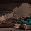 Taylor GS Mini-e Special Edition,BlueBurst