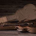 Taylor GS Mini-e Special Edition,Paisley Burst