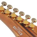 Ibanez RGT1220PBK-COL