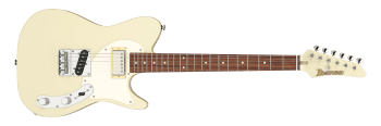 Ibanez FLATV2-MSN