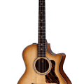 Taylor Builder’s Edition 314ce LTD (Natural Top)