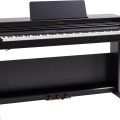 Roland RP701-CB