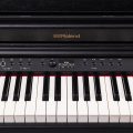 Roland RP701-CB