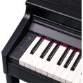 Roland RP701-CB