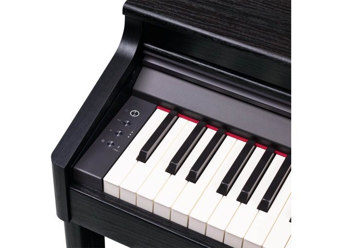 Roland RP701-CB