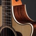 Taylor 814ce DLX V-Class - East Indian Rosewood/Sitkatop