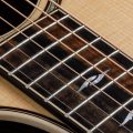 Taylor 814ce DLX V-Class - East Indian Rosewood/Sitkatop