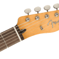Fender Jason Isbell Custom Telecaster, Rosewood, 3-color Chocolate Burst