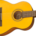 Fender ESC80 Educational Series