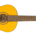 Fender ESC80 Educational Series