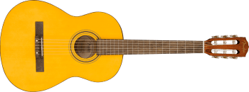 Fender ESC80 Educational Series