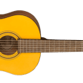 Fender ESC80 Educational Series