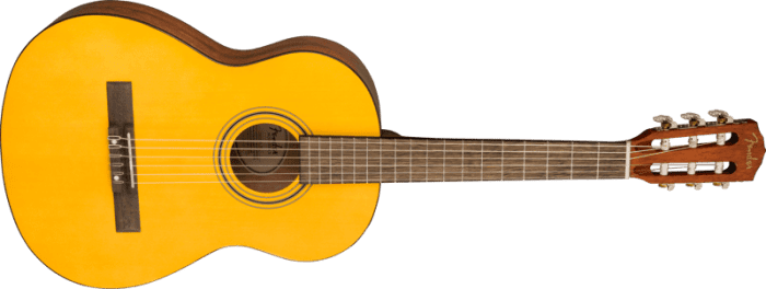 Fender ESC80 Educational Series