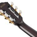 Ibanez FRH20QMN-CTL