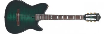 Ibanez FRH20FMN-DGL