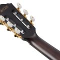 Ibanez FRH20FMN-DGL