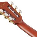 Ibanez FRH20SMN-TCL