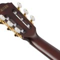 Ibanez FRH20QMN-WRL