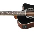Ibanez AC391RCE-BKH