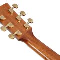Ibanez AC391RCE-BKH