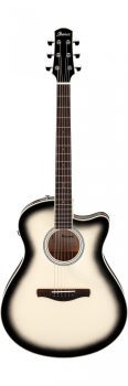 Ibanez AAM370M1CE-TPA
