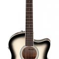 Ibanez AAM370M1CE-TPA