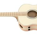 Ibanez AAM370M2E-APF