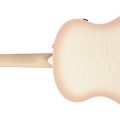 Ibanez AAM370M2E-APF
