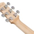 Ibanez AAM370M2E-APF