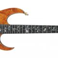 Ibanez IV1RG