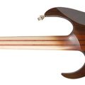Ibanez IV1RG