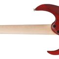 Ibanez RGR420FMSP-TGF