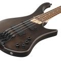 Ibanez EHB600-WNF
