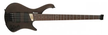 Ibanez EHB605-WNF